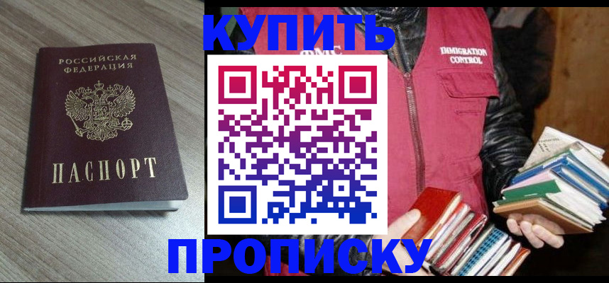 прописка 2025 в Волхове